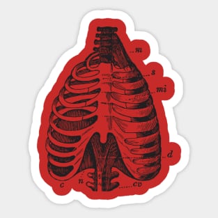 Anatomy body Sticker